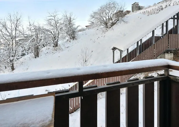 Classique Avec Coin Montagne, Balcon Et Animaux Admis - Fr-1-344-1164 *